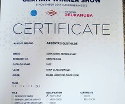 German Winner Show 2017 Thilde